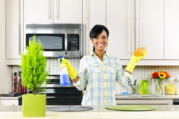Professional cleaning services